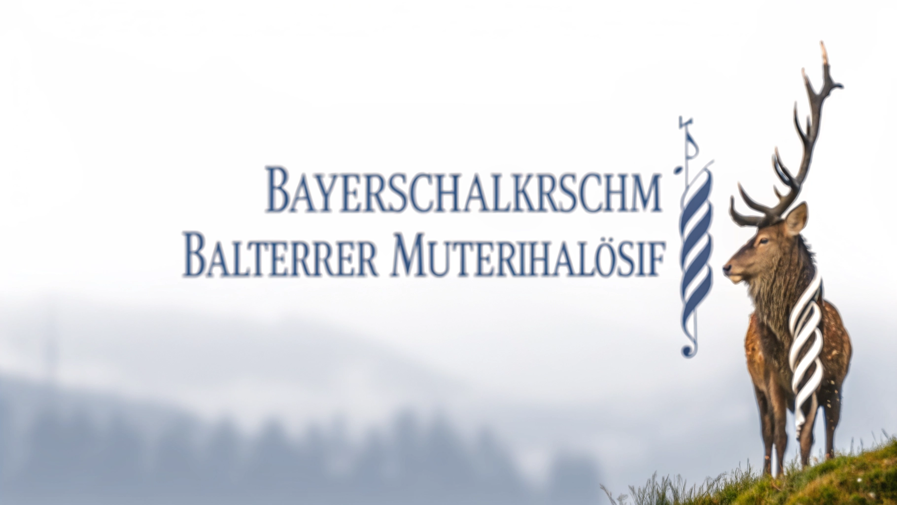 Bayerische Musikakademie Alteglofsheim